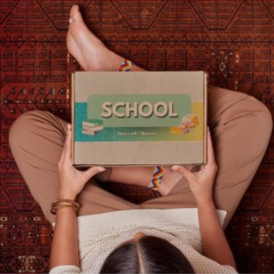 BOX SCHOOL (stress off + neurox)